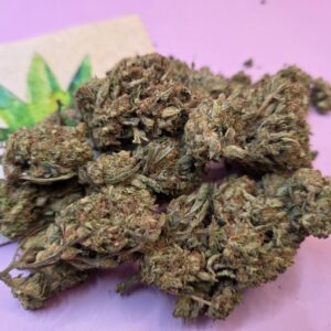 2021/06/8981-scaled.jpg https://cannablissdetroit.com/wp-content/uploads/2021/06/8981-300x300.jpg