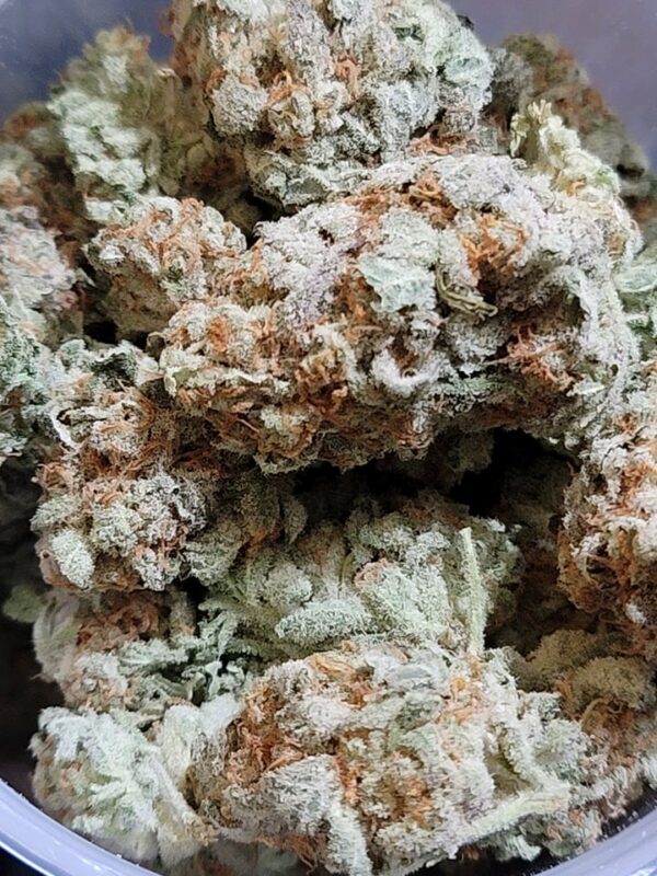 Biker OG