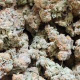 Green Punch Cake - Image 2