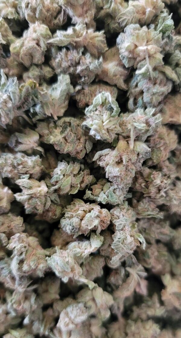 Strawberry Cream (Small Buds)