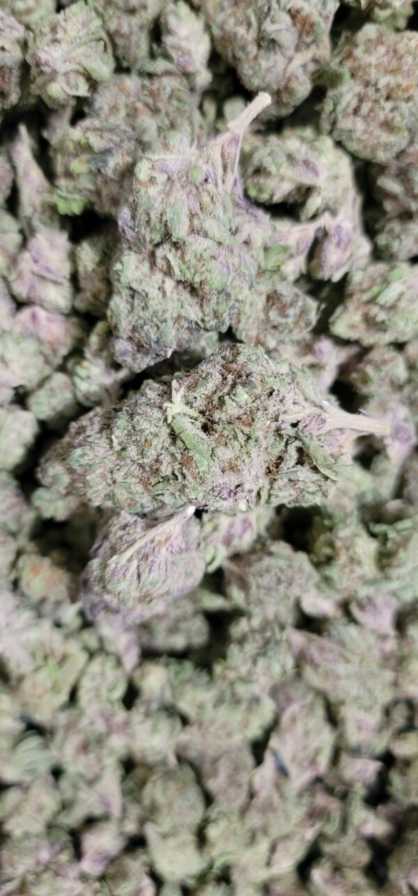Khalifa Mints