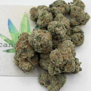 img_0581 https://cannablissdetroit.com/wp-content/uploads/2022/09/img_0581-300x300.jpeg