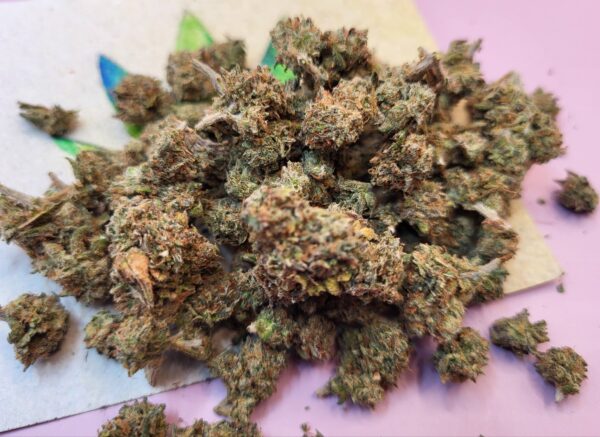 Pink Runtz ( small buds)