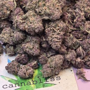 2023/06/9869-scaled.jpg https://cannablissdetroit.com/wp-content/uploads/2023/06/9869-300x300.jpg