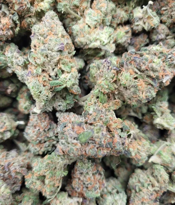 Sunset Sherbert