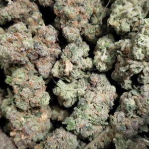 Watermelon Zkittlez https://cannablissdetroit.com/wp-content/uploads/2023/09/Resized_Resized_20230922_104807-300x300.webp