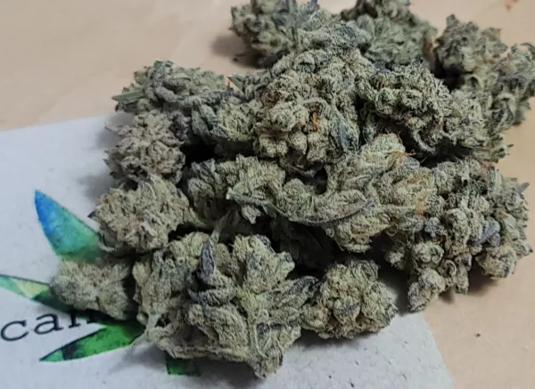 Grape Colada