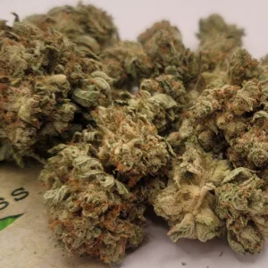https://cannablissdetroit.com/wp-content/uploads/2024/01/1000007231-4-300x300.webp
