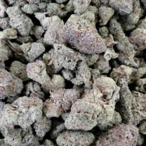 1000007411-4-jpg.webp https://cannablissdetroit.com/wp-content/uploads/2024/02/1000007411-4-300x300.webp