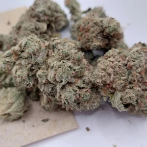 1000007535-4-jpg.webp https://cannablissdetroit.com/wp-content/uploads/2024/02/1000007535-4-300x300.webp