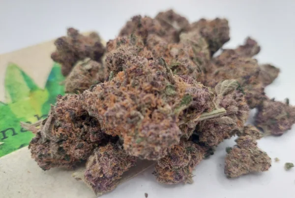 Rainbow Zkittlez
