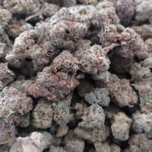 1000009133-4-jpg.webp https://cannablissdetroit.com/wp-content/uploads/2024/04/1000009133-4-300x300.webp