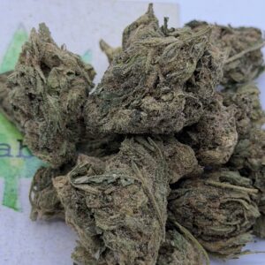 https://cannablissdetroit.com/wp-content/uploads/2024/05/img_1501-300x300.jpeg