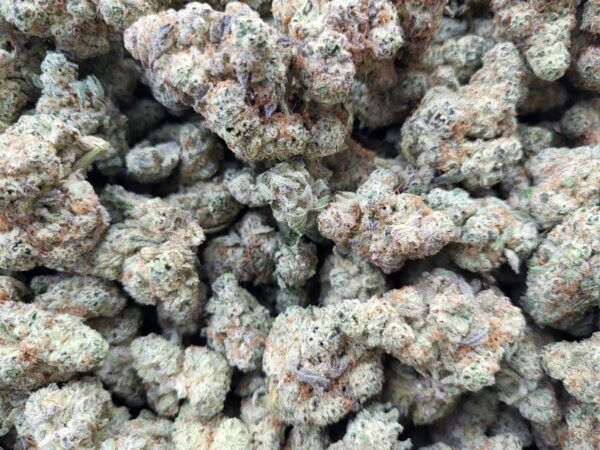 Amnesia Haze