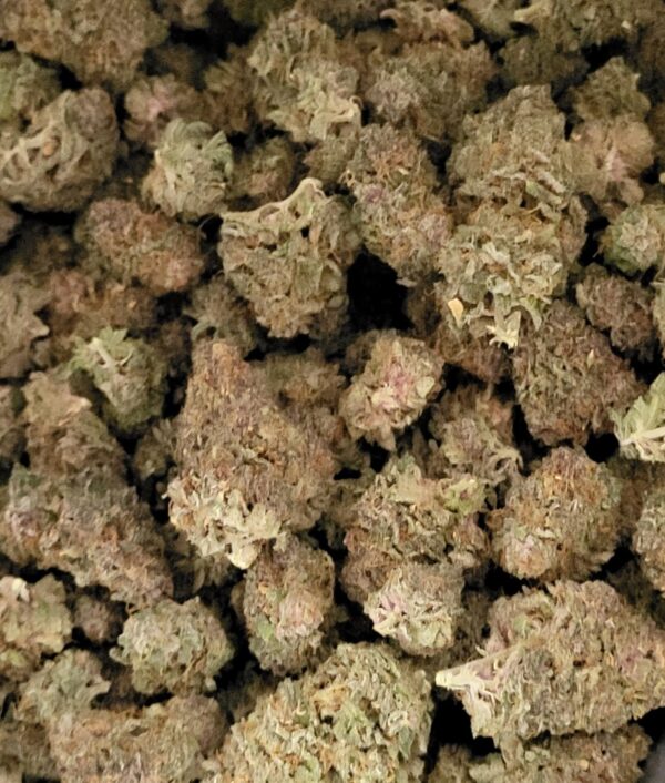 Purple Kush