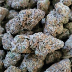 https://cannablissdetroit.com/wp-content/uploads/2024/07/1000012460-4-300x300.jpg
