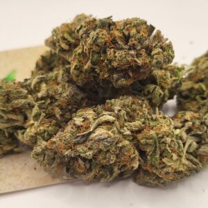 https://cannablissdetroit.com/wp-content/uploads/2024/09/1000030567-4-300x300.jpg
