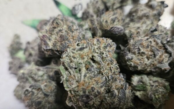 White Cake
