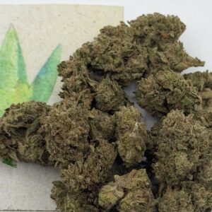 https://cannablissdetroit.com/wp-content/uploads/2024/11/img_1365-300x300.jpeg