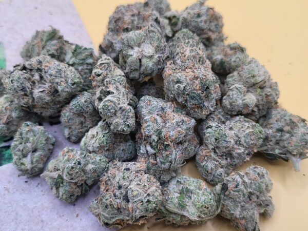 Mule Fuel