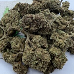 img_1357 https://cannablissdetroit.com/wp-content/uploads/2024/12/img_1357-300x300.jpeg