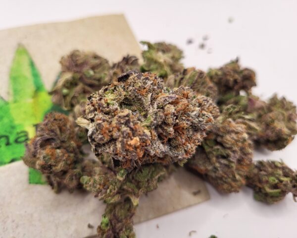 Purple Gelato