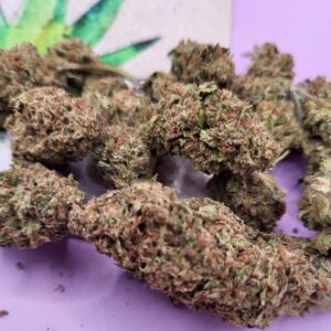https://cannablissdetroit.com/wp-content/uploads/2025/04/Resized_20250412_130043_1744477259693-300x300.jpeg