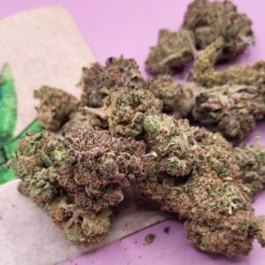 Platinum Glue Dog https://cannablissdetroit.com/wp-content/uploads/2025/04/Resized_20250416_123257_1744821198935-300x300.jpeg