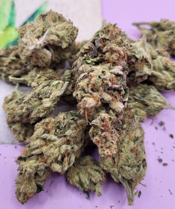 Dynasty OG