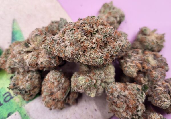 Animal Tranquilizer
