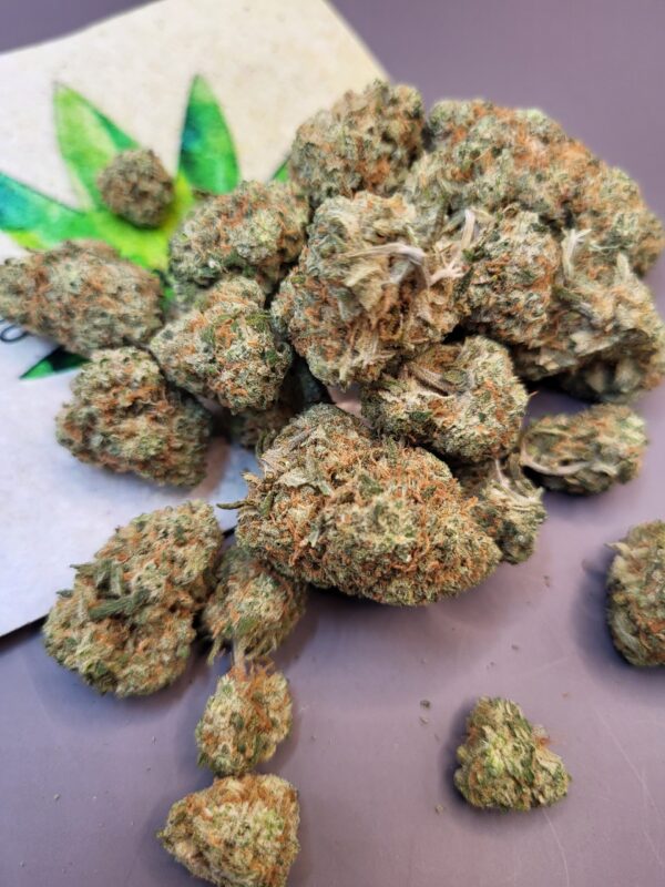 Terminator OG