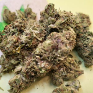 https://cannablissdetroit.com/wp-content/uploads/2025/09/4760875855319815928-300x300.jpg