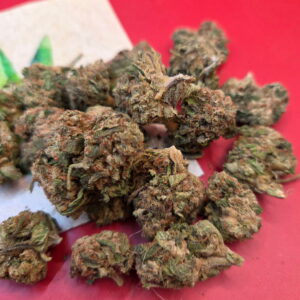 Zangria Funk https://cannablissdetroit.com/wp-content/uploads/2025/11/1448695149238579860-300x300.jpg