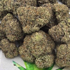 https://cannablissdetroit.com/wp-content/uploads/2025/12/1000032240-300x300.jpg