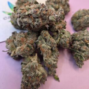 2026/01/9315-scaled.jpg https://cannablissdetroit.com/wp-content/uploads/2026/01/9315-300x300.jpg