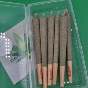 2026/02/10293-scaled.jpg https://cannablissdetroit.com/wp-content/uploads/2026/02/10293-300x300.jpg