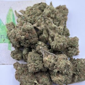 https://cannablissdetroit.com/wp-content/uploads/2026/03/187049ee-57cf-4826-984a-3a594a2cd7f6-3556-0000015d32a29caf_file-300x300.jpeg