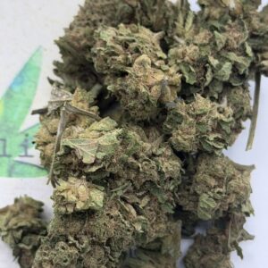 img_0508 https://cannablissdetroit.com/wp-content/uploads/2026/03/img_0508-300x300.jpeg