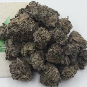 img_0554-2 https://cannablissdetroit.com/wp-content/uploads/2026/04/img_0554-1-300x300.jpeg