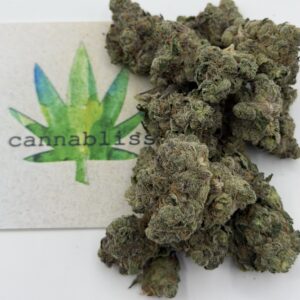 img_0564 https://cannablissdetroit.com/wp-content/uploads/2026/04/img_0564-300x300.jpeg