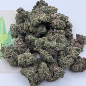 https://cannablissdetroit.com/wp-content/uploads/2026/05/11276-300x300.jpg