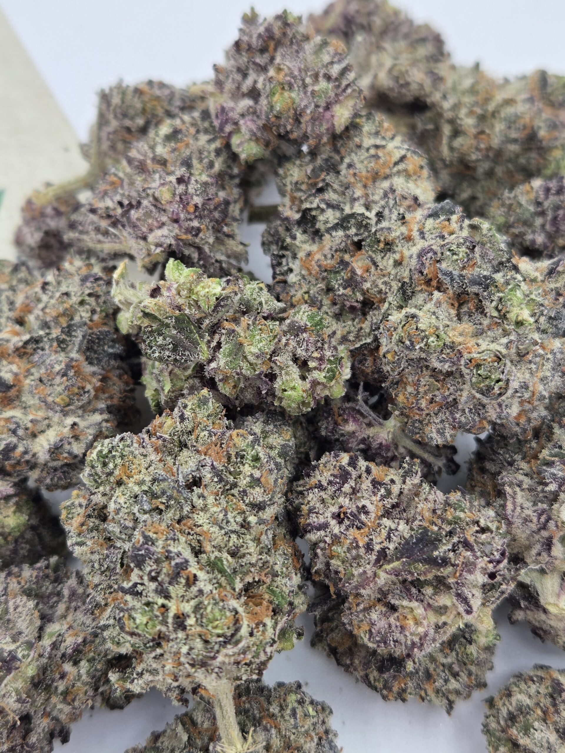 Thug Pug OG