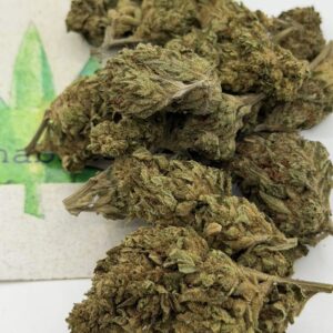 https://cannablissdetroit.com/wp-content/uploads/2026/05/img_1049-1-300x300.jpeg