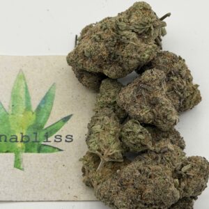 https://cannablissdetroit.com/wp-content/uploads/2026/05/img_1051-300x300.jpeg