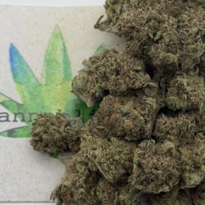 https://cannablissdetroit.com/wp-content/uploads/2026/05/img_1260-300x300.jpeg