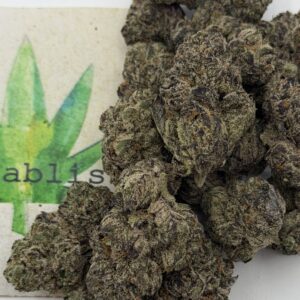 https://cannablissdetroit.com/wp-content/uploads/2026/05/img_1261-1-300x300.jpeg