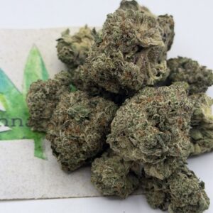 img_1457 https://cannablissdetroit.com/wp-content/uploads/2026/06/img_1457-300x300.jpeg