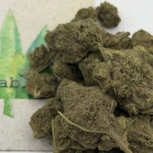 img_1467-3 https://cannablissdetroit.com/wp-content/uploads/2026/06/img_1467-2-300x300.jpeg