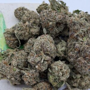 img_1505-2 https://cannablissdetroit.com/wp-content/uploads/2026/06/img_1505-1-300x300.jpeg