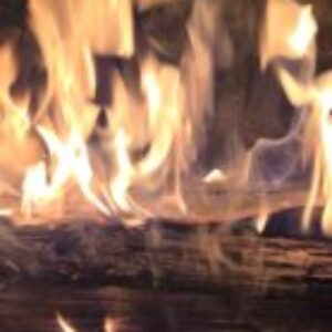 Profile photo of Rog